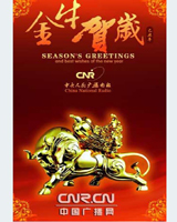 �R�q�������O(sh��)Ӌ���p