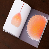 ��I���񮋃�ӡˢ