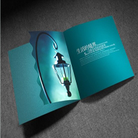 ��ϯ�Юa������^���Ǖ�ӡˢ